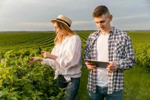 Homem e mulher em campo agrícola analisando plantações com tablet e celular, representando o uso de tecnologia para monitoramento e tomada de decisões estratégicas em investimentos em agro.