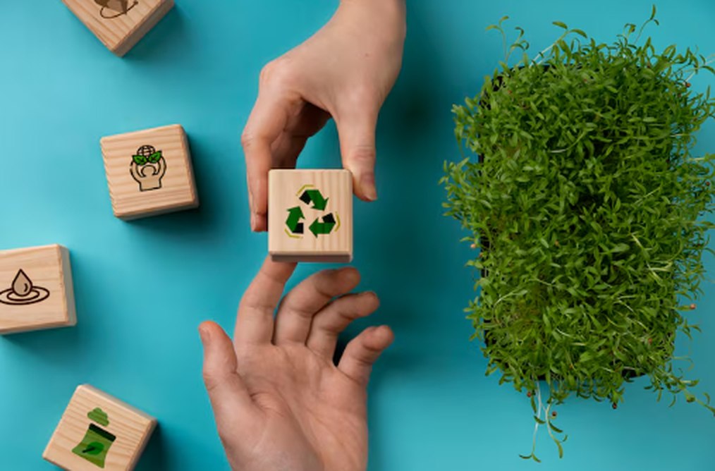 Mãos segurando blocos de madeira com símbolos de reciclagem e sustentabilidade ao lado de plantas verdes, representando o conceito de investir em empresas B comprometidas com impacto social e ambiental positivo.